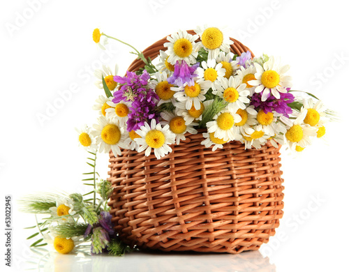 Fototapeta Naklejka Na Ścianę i Meble -  Beautiful wild flowers in basket, isolated on white