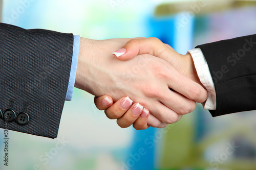 Business handshake on bright background