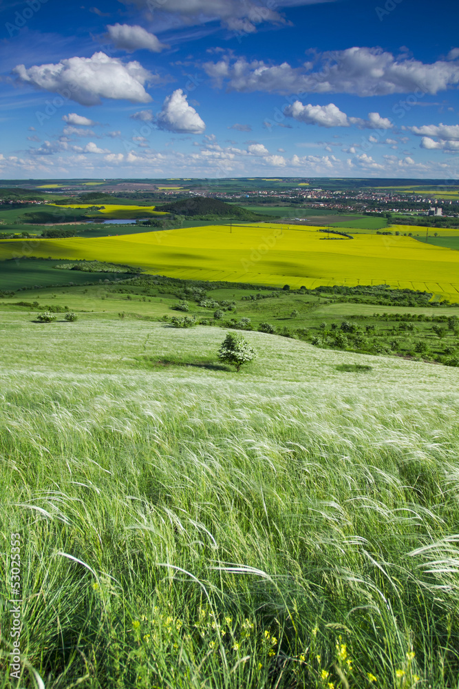 Obraz premium CZECH landscape