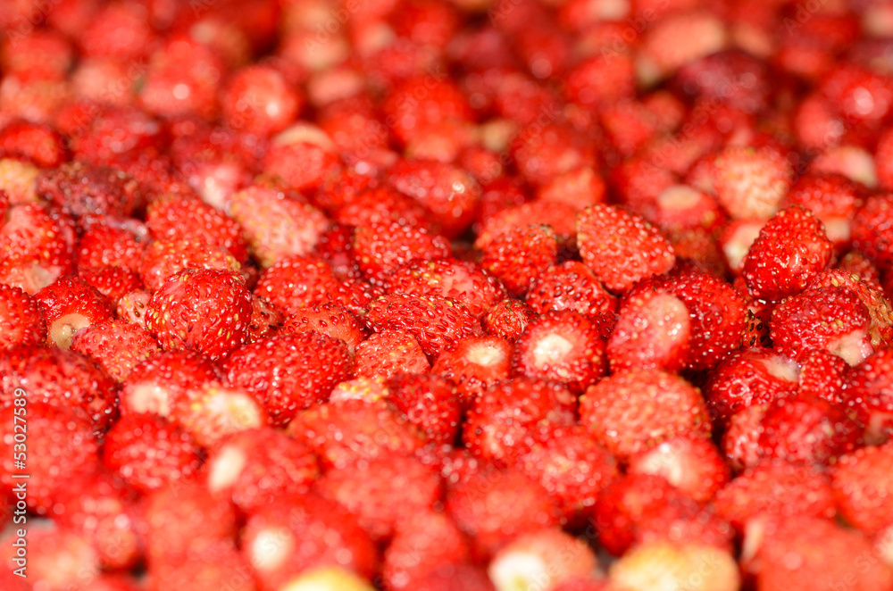 Strawberries background Strawberries background