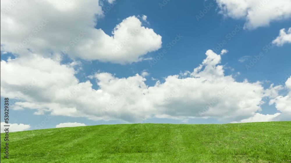green meadow, blue sky with moving clouds green meadow, blue sky with moving clouds