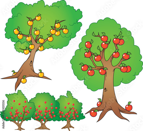 apple, orange tree and berry bush vector set