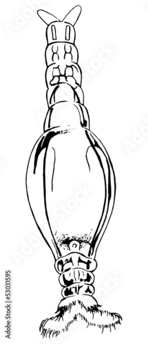 Rotifer