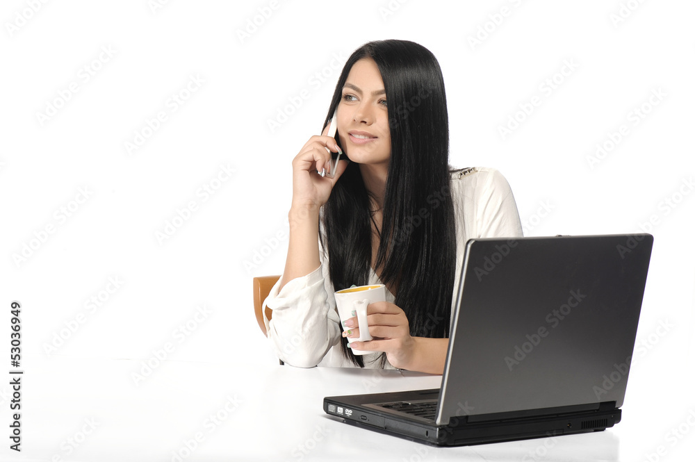 Portrait of happy business woman with a laptop Portrait of happy business woman with a laptop