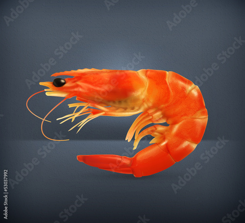 Shrimp