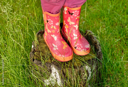 Girl legs in pink galoshes standing on tree stump