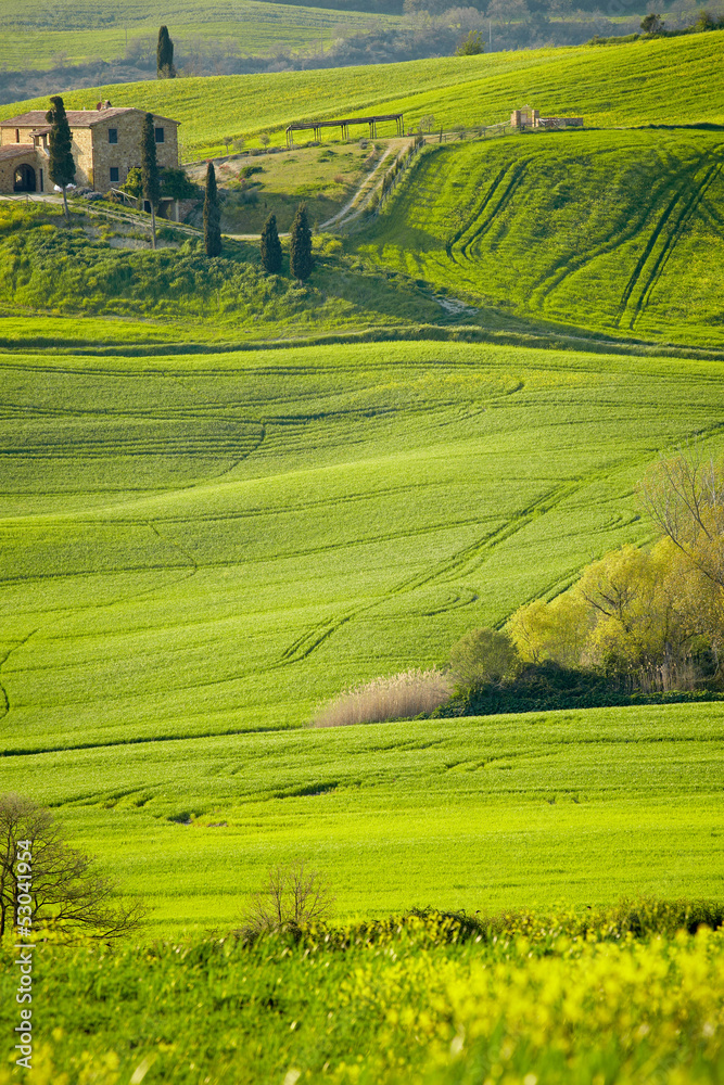 Obraz premium morning on countryside in Tuscany