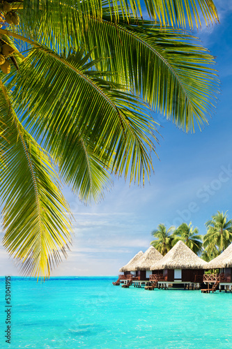 Fototapeta Naklejka Na Ścianę i Meble -  Coconut palm tree leaves over ocean with bungalows