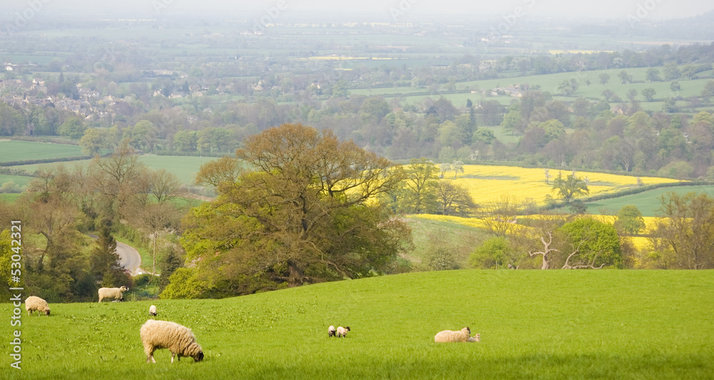 Obraz premium Idyllic rural farmland, Cotswolds UK