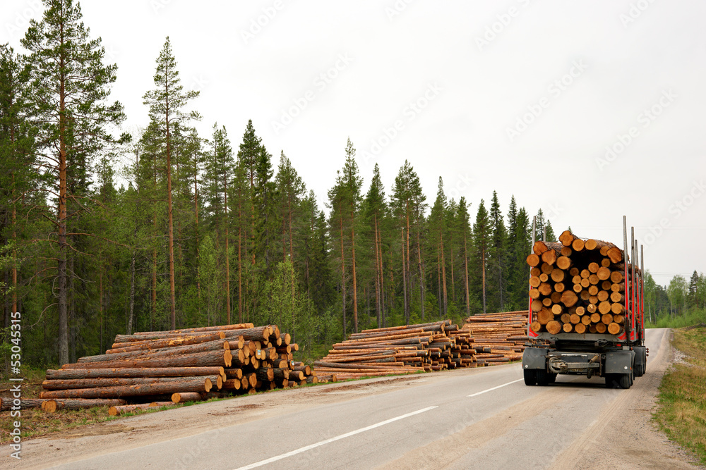 Foto Timber