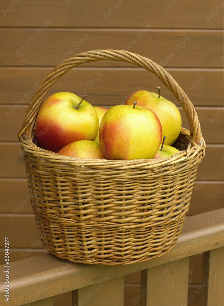 Many red and yellow apples in small brown wicker basket Many red and yellow apples in small brown wicker basket