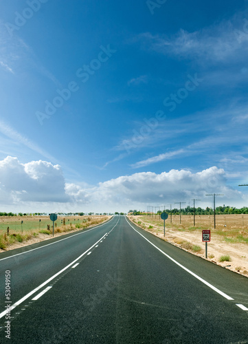 Sunny road