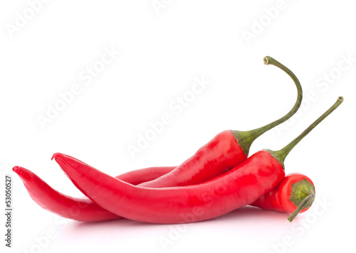 Hot red chili or chilli pepper