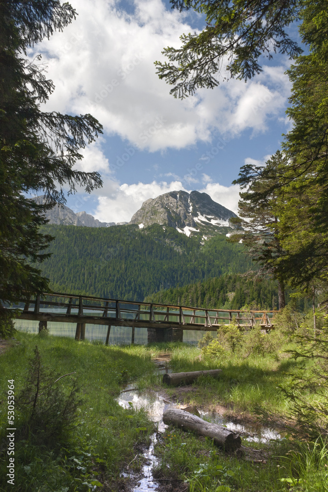 View to mountains in the national park Durmitor in Montenegro