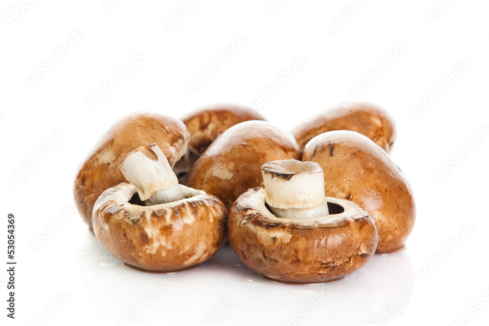 tulips in basket isolated on white background. colors