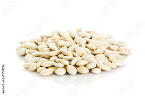  bean seeds isolated on white background