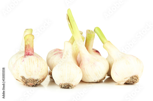 Fresh garlic, isolated on white