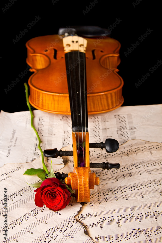 Naklejka premium Violin sheet music and rose