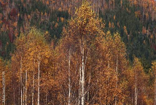 Autumn in mountains