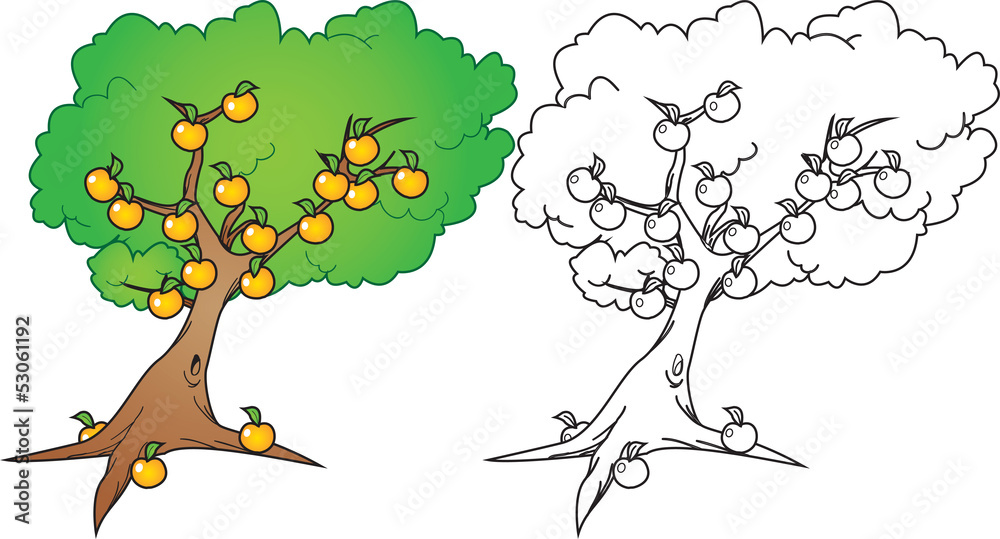 cartoon orange tree in color and black n white version Stock Vector