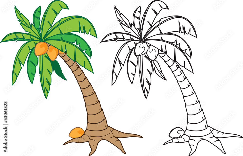 cartoon coconut tree, in color and black n white version Stock Vector |  Adobe Stock