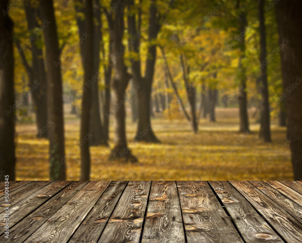 Fototapeta premium Autumn forest and wooden floor