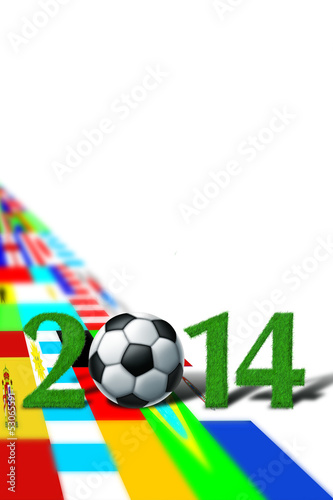 2014 world cup