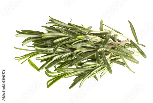 Rosemary