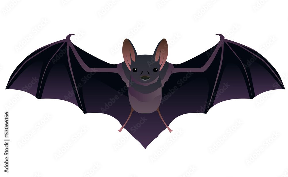 Illustration of bat cartoon style, isolated on white. Simple horror flying night violet halloween symbol  with spred wings