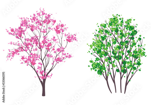Spring and summer trees