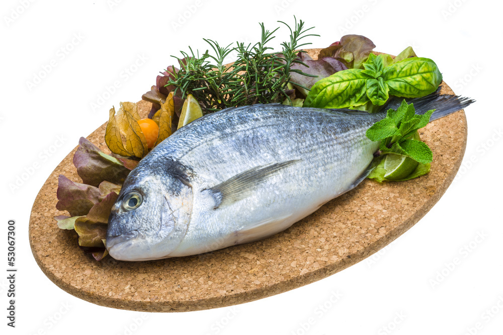 Fresh raw dorada Fresh raw dorada