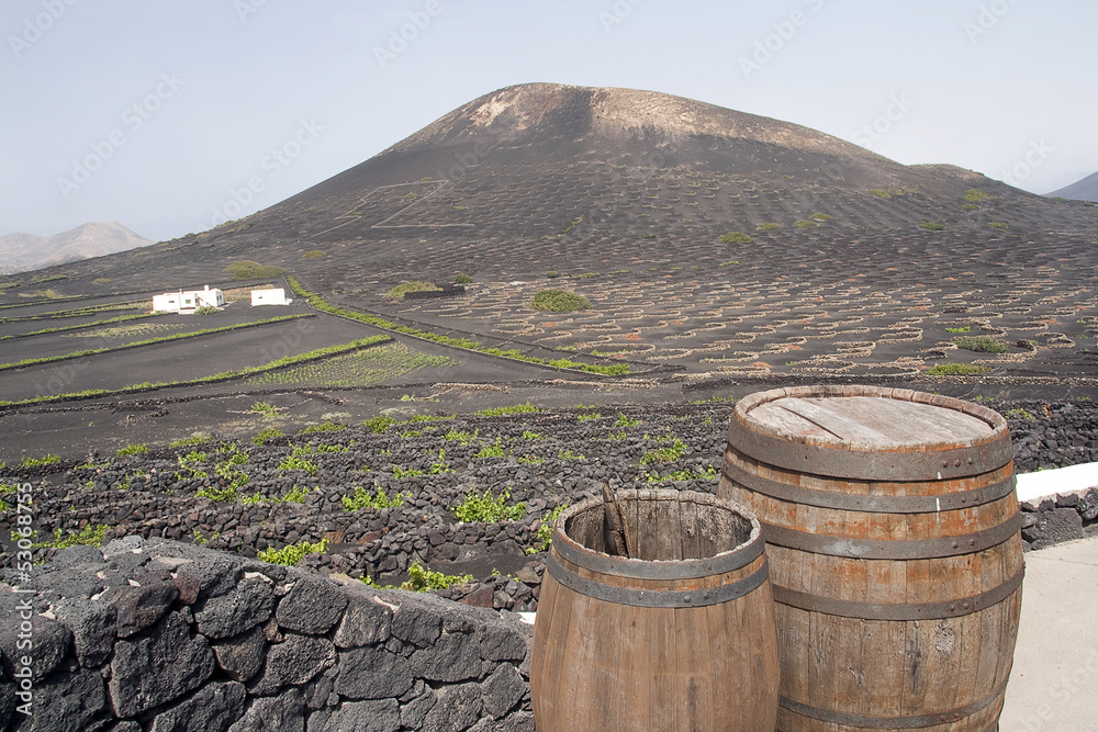 Vineyard on volcanic mountains, Lanzarote Vineyard on volcanic mountains, Lanzarote