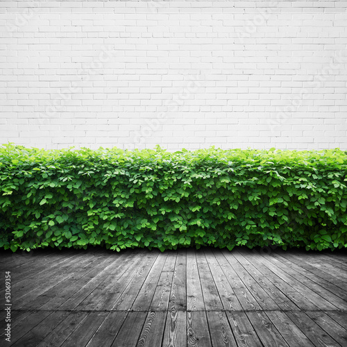 Wall, wood floor and bushes © SFIO CRACHO