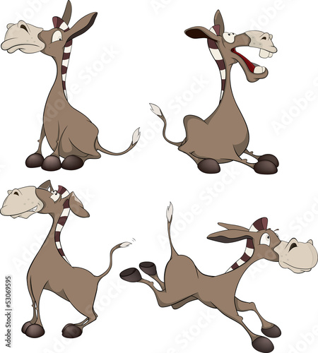 Burros. Cartoon