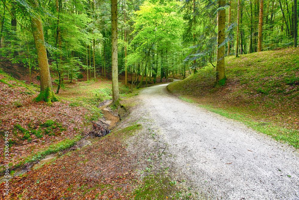 Fototapeta premium HDR road that takes you to eternity
