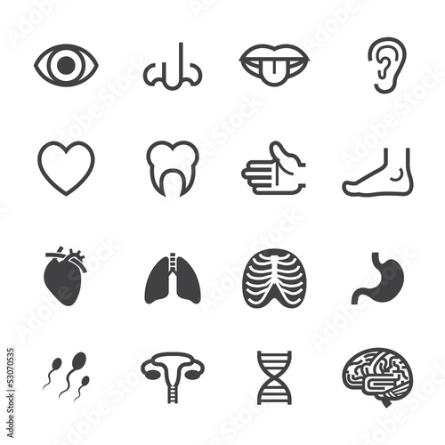 Medical Icons with White Background