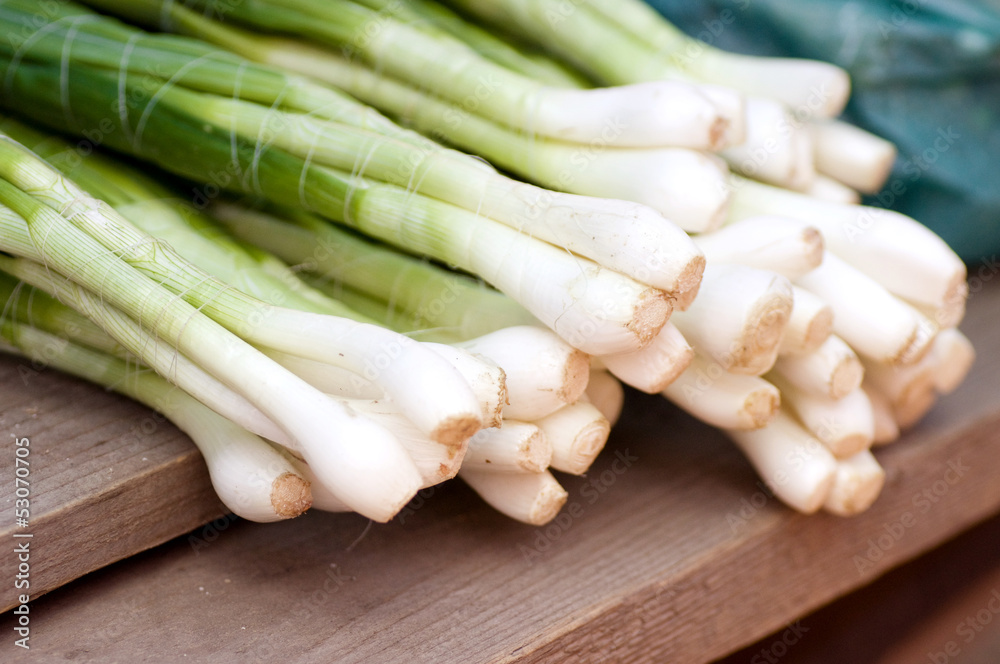 Fresh onion for sell Fresh onion for sell
