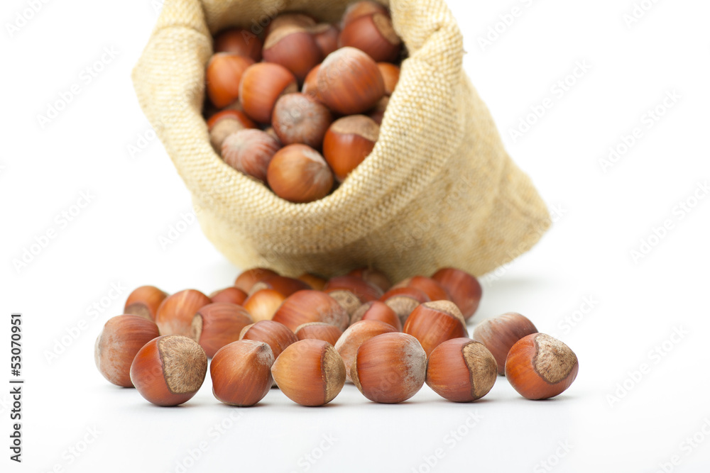 fresh hazelnuts in a bag on white background