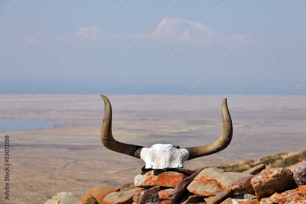 Obraz premium Yak skull decorated with Buddhist mantras in Tibet