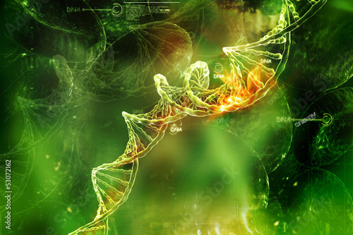 Print op canvas Digital illustration of  DNA