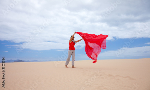 wind in the dunes photo