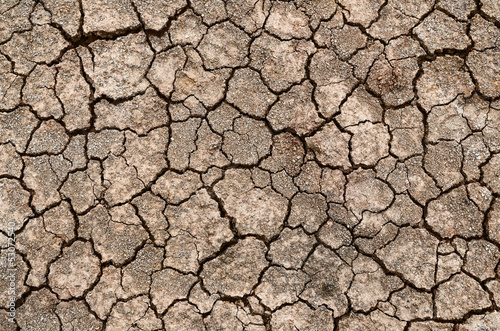 dry earth texture