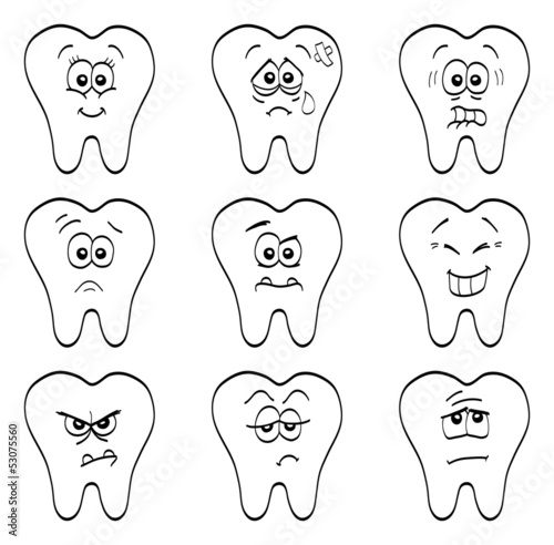Teeth