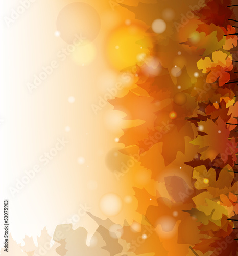 autumn background