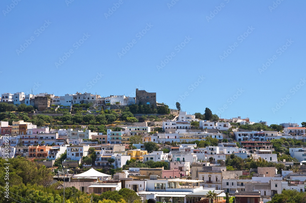 Naklejka premium Panoramic view of Castro. Puglia. Italy.