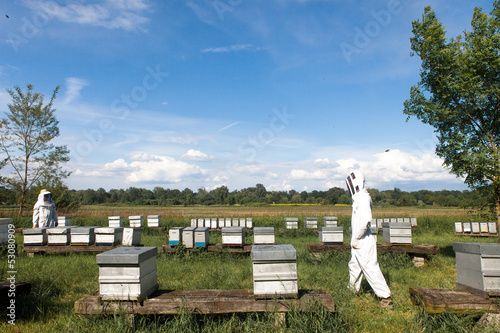 Beekeeper in a Field