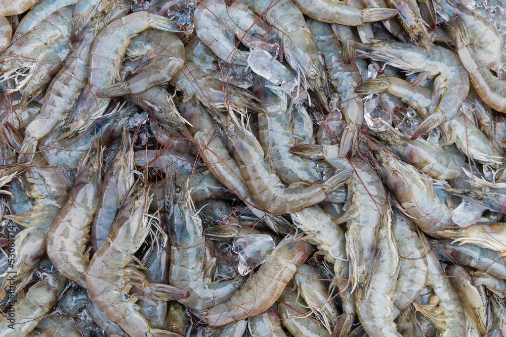 group of fresh prawn