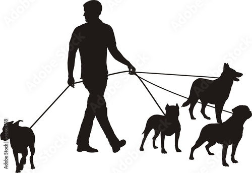 Man and four dogs