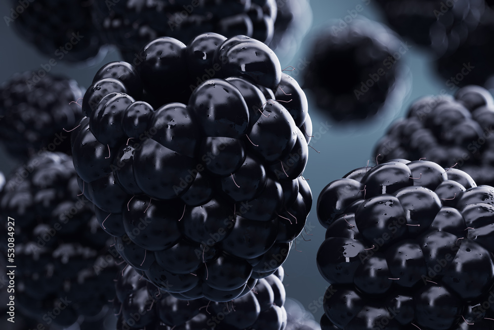 Blackberries. Stock Photo Adobe Stock