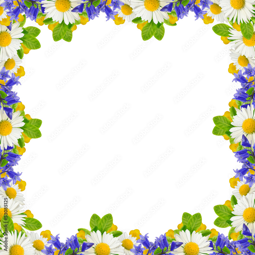 Obraz premium Frame of wildflowers and green leaves
